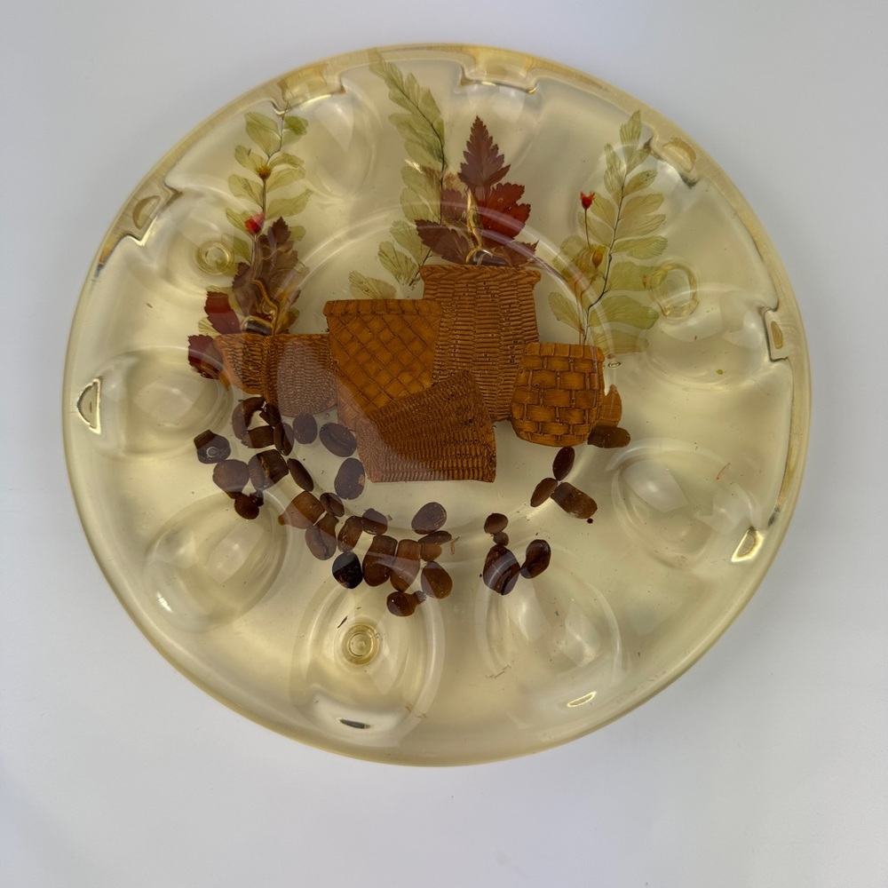 Vintage Lucite Deviled Egg Plate